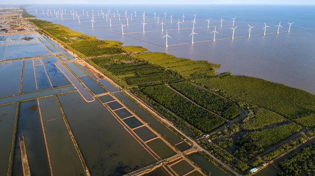 Renewable energy projects in Vietnam contribute to  emission reductions
