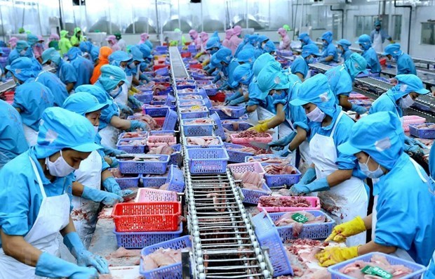 Business Times highlights new opportunities in EU-Vietnam Trade Processing tra fish for export (Photo: VNA)
