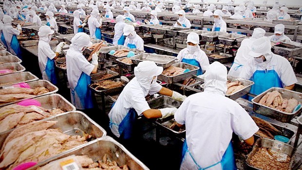 Thailand urged to increase exports to prevent global food shortage Illustrative image (Photo: The Nation of Thailand)