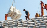 80.000 tấn gạo miễn thuế sẽ “bước chân” vào thị trường EU mỗi năm