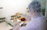 Việt Nam có công suất xét nghiệm PCR Covid-19 tối đa 46.000 mẫu/ngày