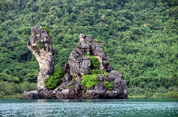 Quang Ninh enjoys potential for forestry tourism development Located within Bai Tu Long Bay and near the UNESCO-recognised Ha Long Bay, Bai Tu Long National Park is a natural treasure for Vietnam. (Source: VNA)