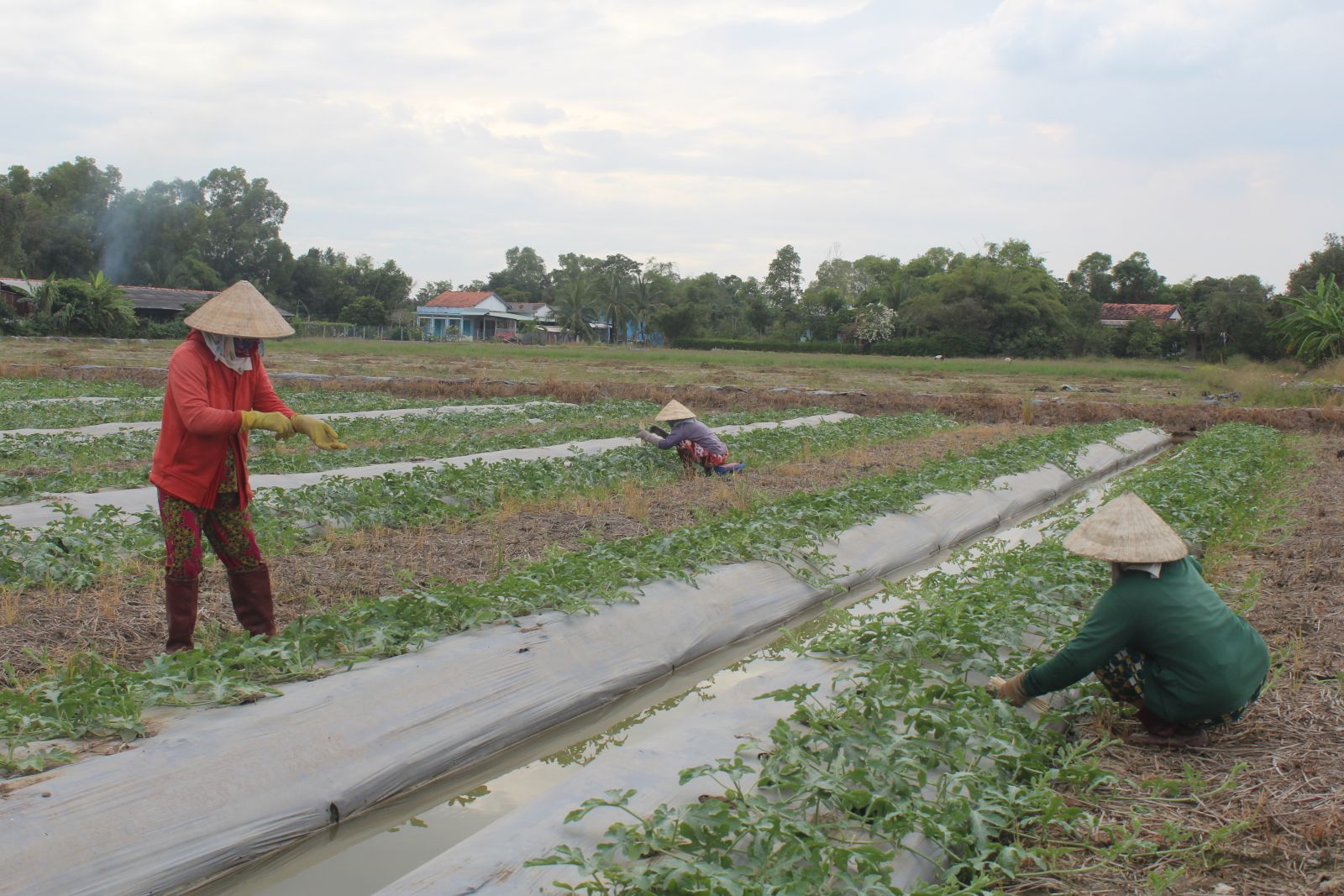 Long An: Giảm nghèo vượt chỉ tiêu đề ra Người dân có ý chí vươn lên thoát nghèo