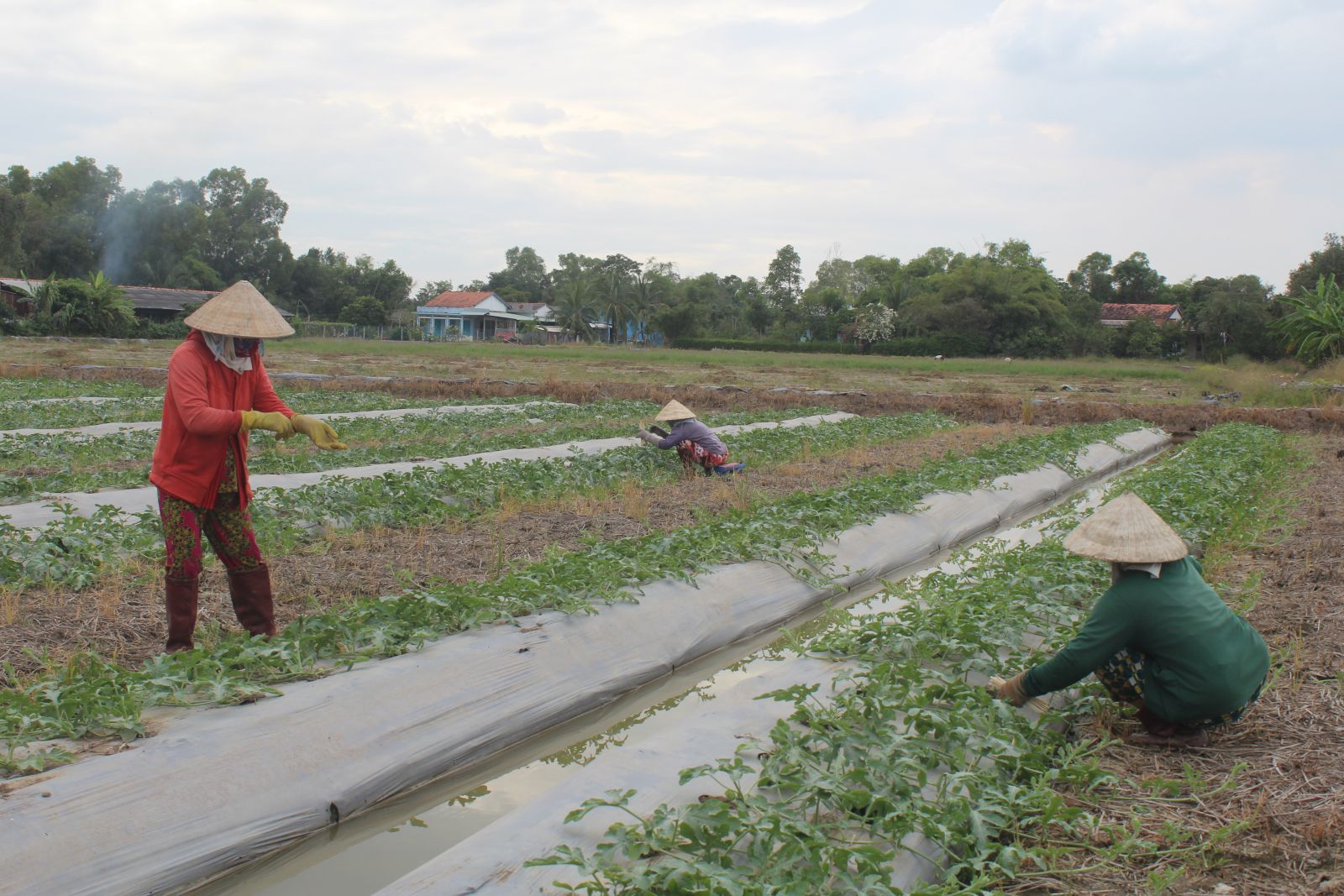 Người dân có ý chí vươn lên thoát nghèo