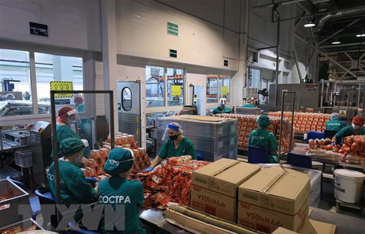 Doanh nghiệp Việt tại Nga đã nỗ lực ổn định sản xuất, trả lương đầy đủ cho người lao động. (Ảnh: Trần Hiếu/TTXVN)