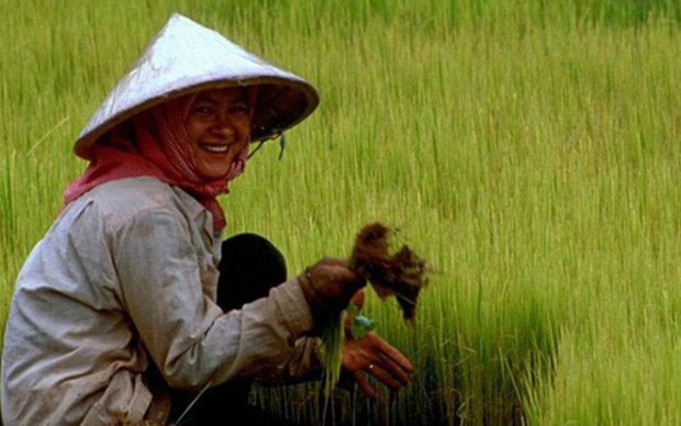 Cambodia suggested spending more on poverty reduction A Cambodian farmer (Photo: Internet)