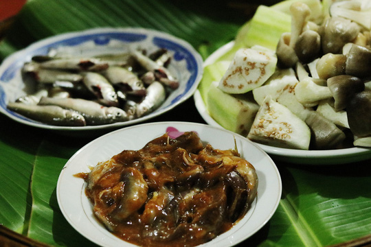 Việt Nam có nhiều món mắm và món ăn chế biến từ mắm