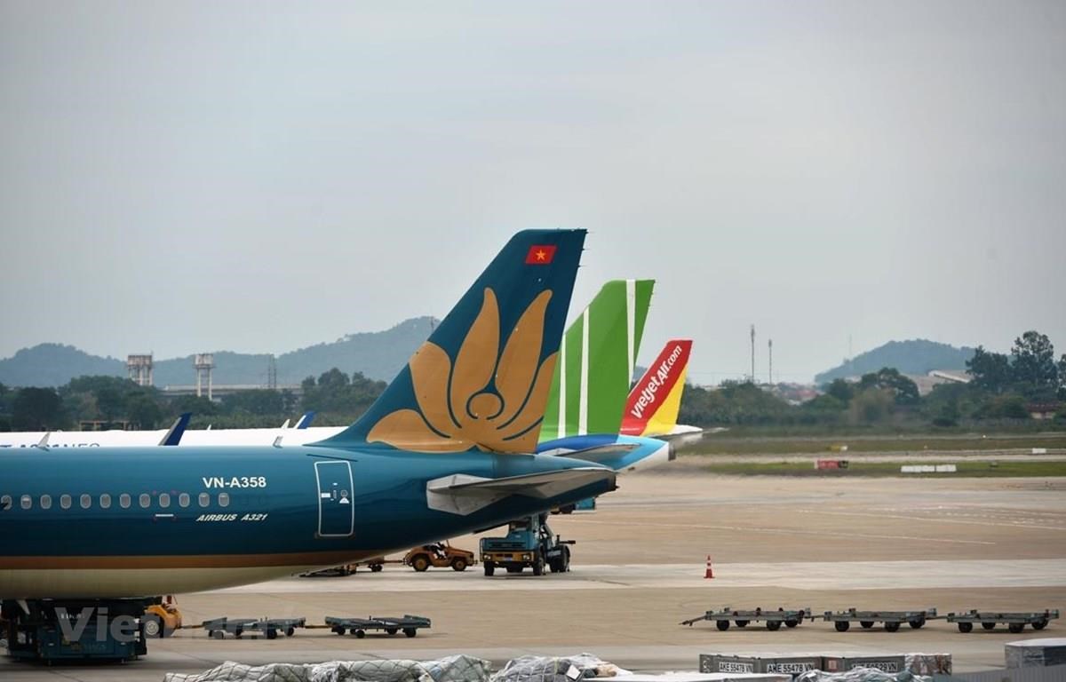 Các hãng hàng không như Vietnam Airlines, Vietjet Air hay Bamboo Airways. (Ảnh: CTV/Vietnam+)