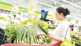 Giảm rác thải nhựa, bảo vệ môi trường