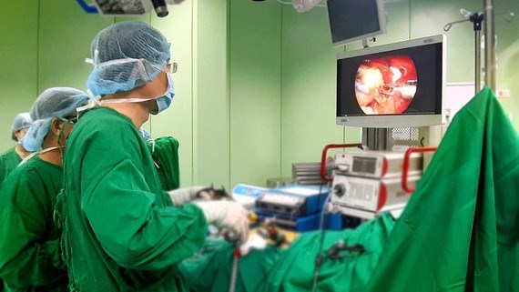 Three Vietnamese scientists awarded Alexandre Yersin prize (Illustrative image: www.sggp.org.vn)