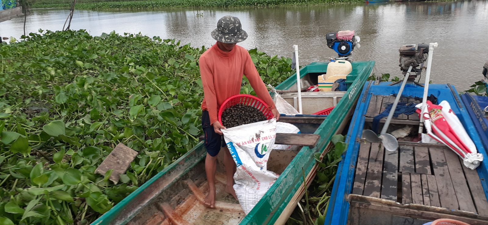 Bắt ốc đắng giải quyết việc làm cho nhiều lao động nhàn rỗi ở nông thôn trong mùa lũ