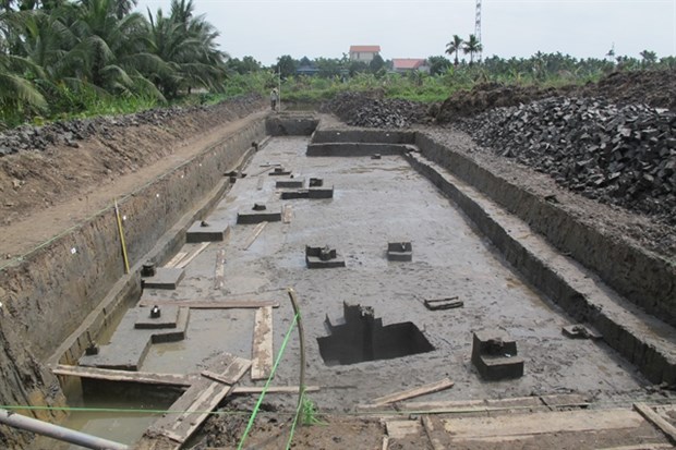 This photo shows the remains of the wooden stakes excavated in Dam Thuong area in Thuy Nguyen district in Hai Phong city. The results of the excavation of the site are considered one of the most significant in Vietnamese archaeology over the past year (Photo courtesy of the Institute of Archaeology)