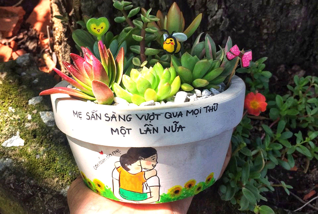 Tiểu Cảnh Terrarium Sen Đá trong chậu Gốm vẽ TCGV20