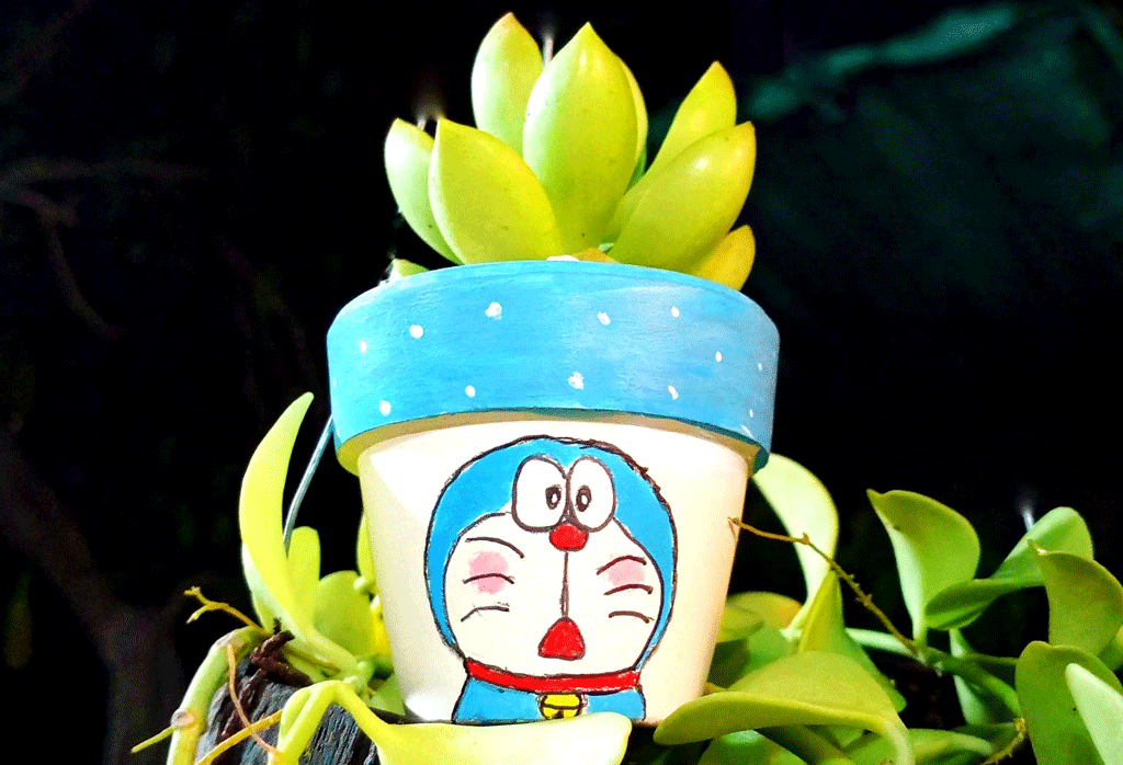Món quà đặc biệt từ sen đá