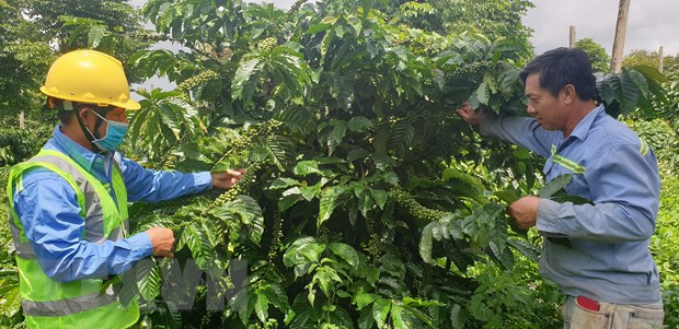 EVFTA: Tận dụng ưu đãi gia tăng xuất khẩu vào thị trường EU
