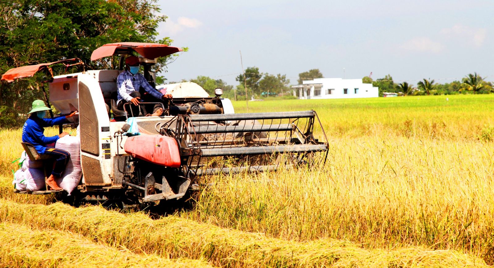Long An - 5 năm một chặng đường phát triển