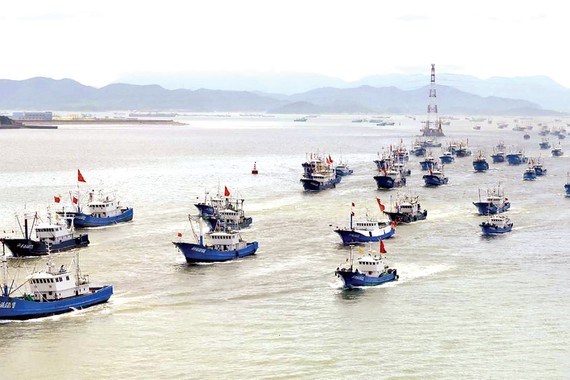 Fish stocks in East Sea fall sharply Chinese fishing vessels in the East Sea (Photo: sggp.org.vn)