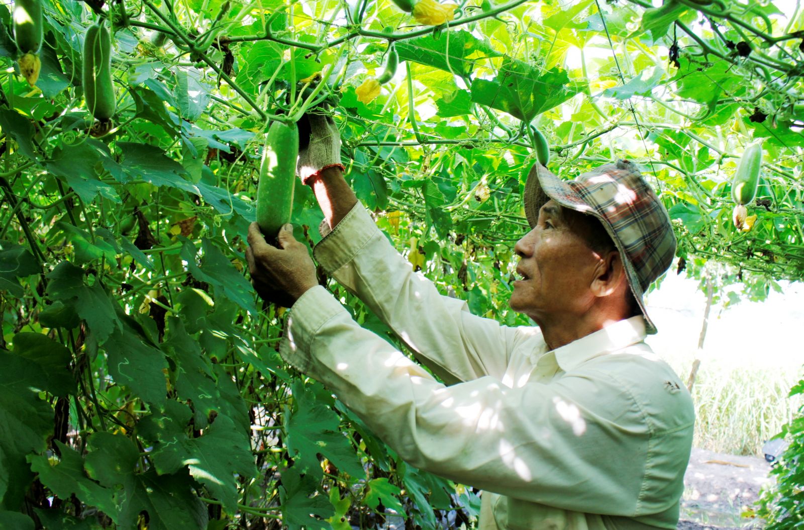 Sản xuất sạch - nâng giá trị sản phẩm