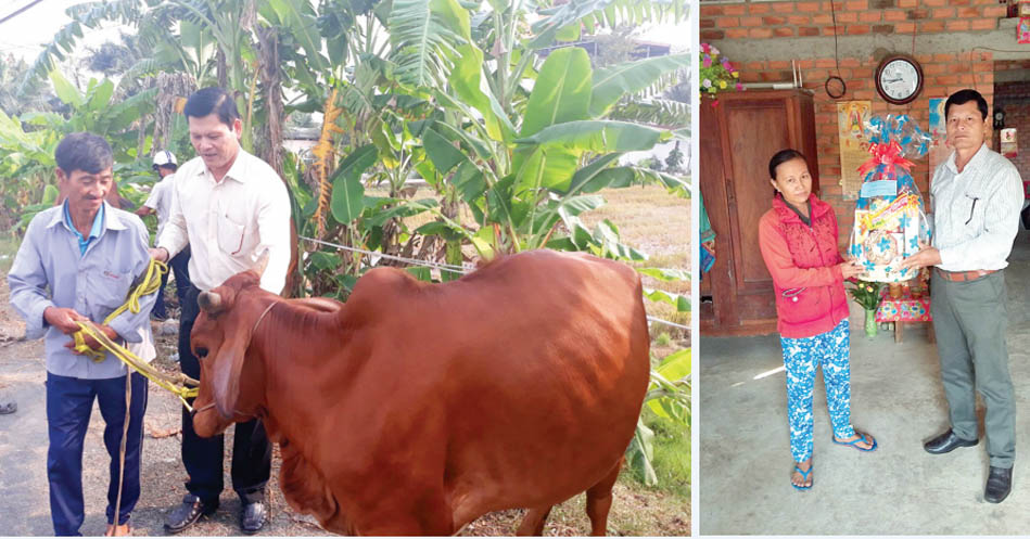 Ủy ban MTTQ Việt Nam huyện Tân Trụ tặng bò và quà cho người dân có hoàn cảnh khó khăn
