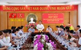 Đảng bộ Long An qua các mốc son Đại hội