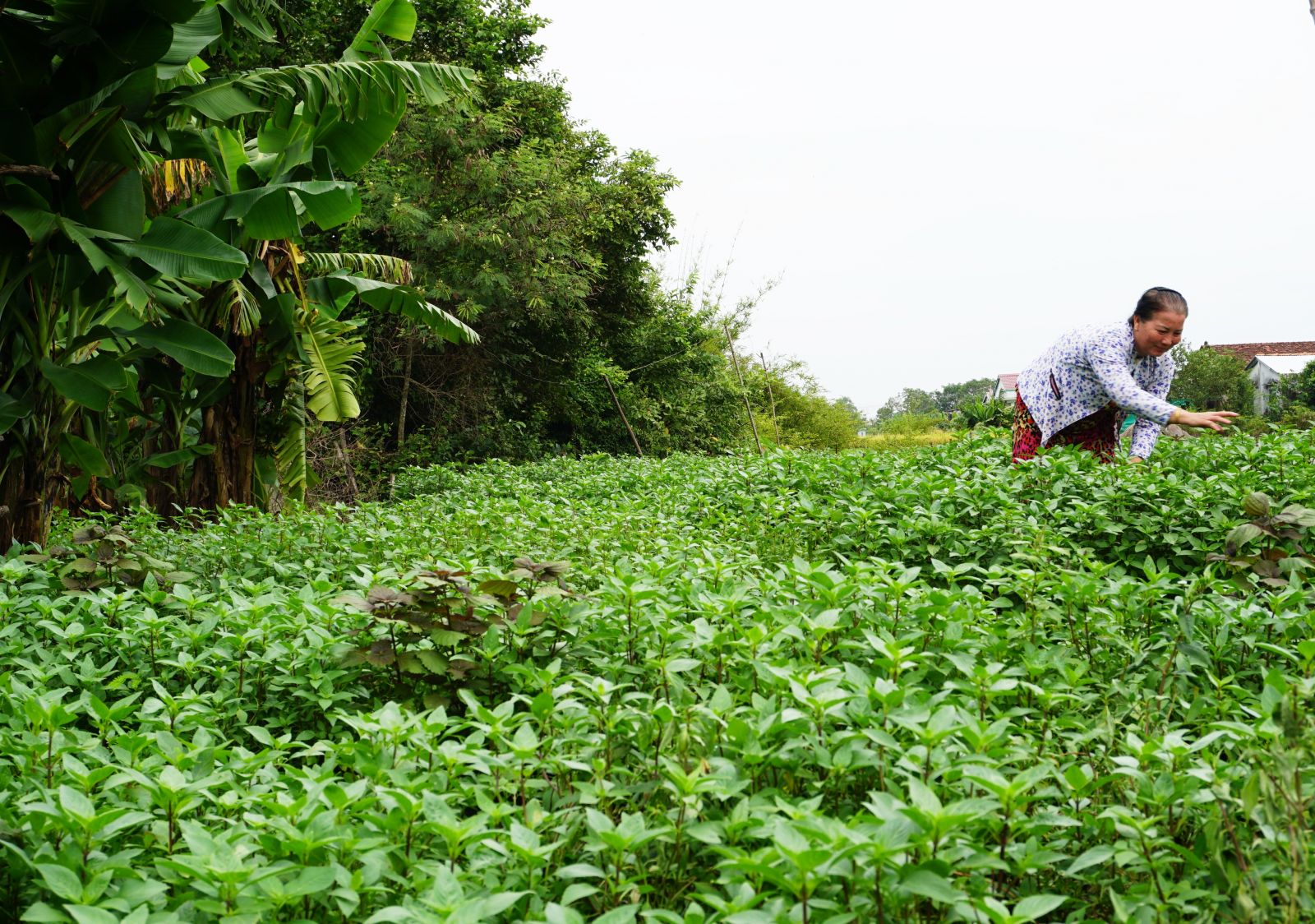 Phụ nữ tự tin, tự trọng, trung hậu, đảm đang