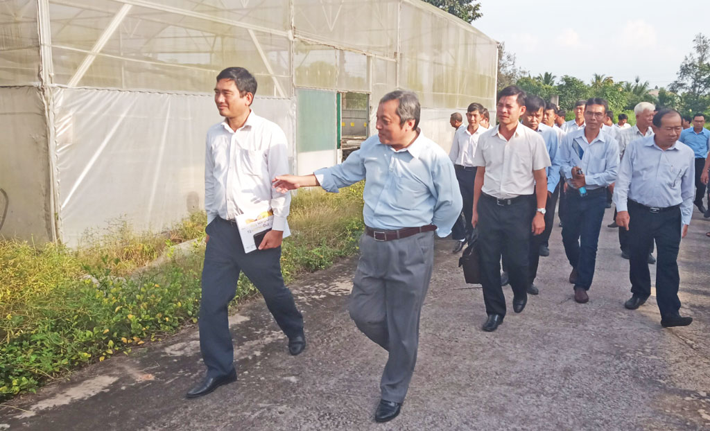 Long An learned from experience at Ho Chi Minh City High-tech Agricultural Park The delegation of Long An province learned experience in Ho Chi Minh City Hi-Tech Agricultural Park