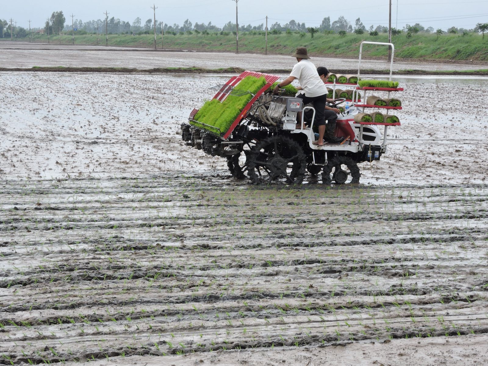 Tan Hung: Implementing mechanization into farming made it effective