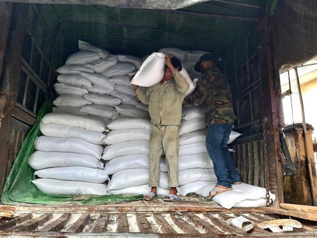 Cục Dự trữ Nhà nước khu vực Đà Nẵng đã xuất 100 tấn gạo dự trữ quốc gia cứu trợ khẩn cấp cho huyện Phước Sơn. (Ảnh: Quốc Dũng/TTXVN)