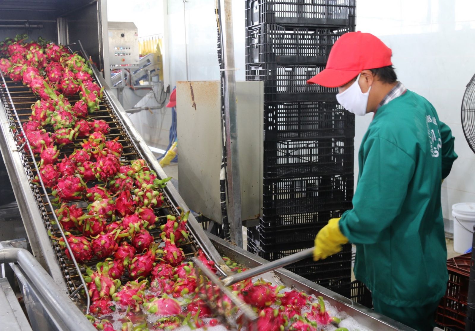 Hiệp định EVFTA mở ra cơ hội phát triển cho doanh nghiệp