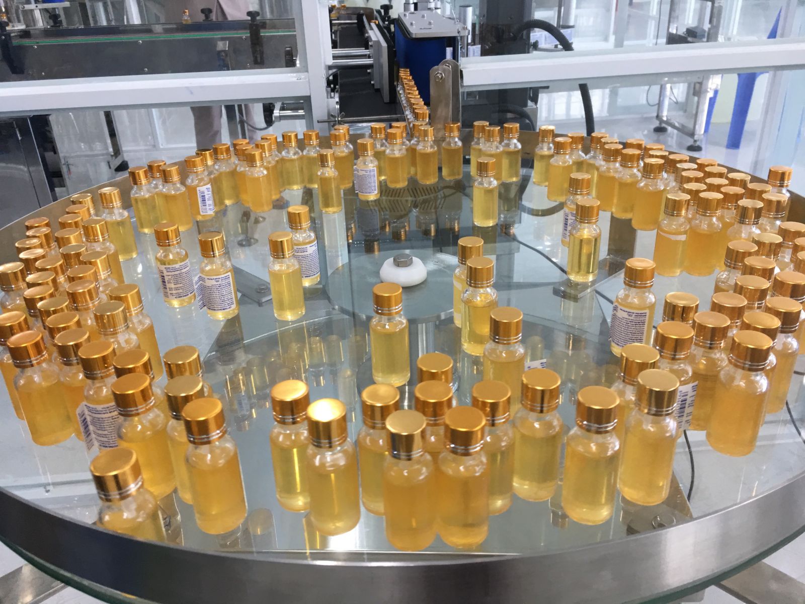 Products of Pure cajeput oil 