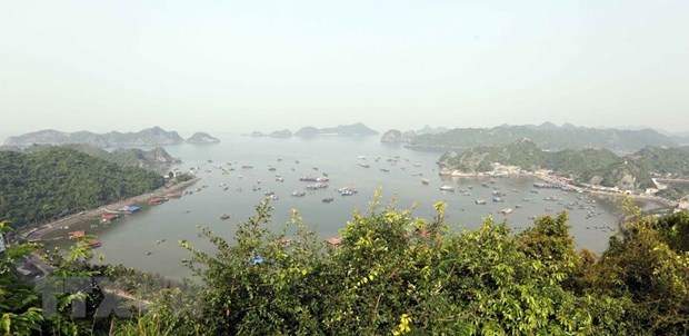 Nỗ lực của Việt Nam trong 2 thập kỷ vào mạng lưới dự trữ sinh quyển