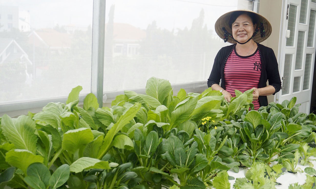 Mô hình trồng rau thủy canh được gia đình bà Nguyễn Thị Hưởng lựa chọn vì giá trị dinh dưỡng cao