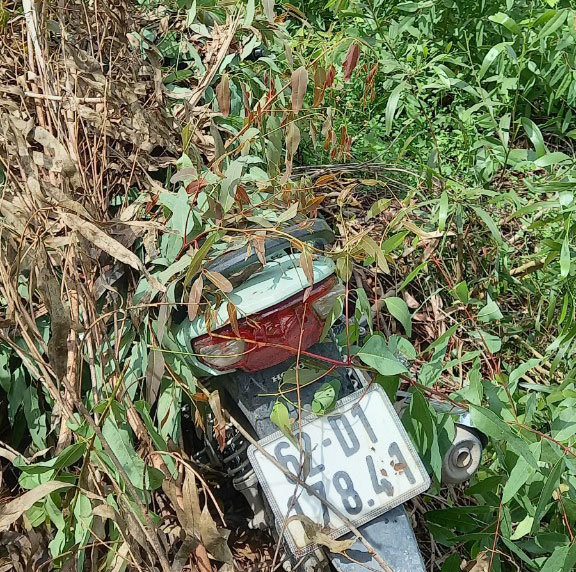Xe môtô trộm cắp được đưa về biên giới và cất giấu trong bụi cây