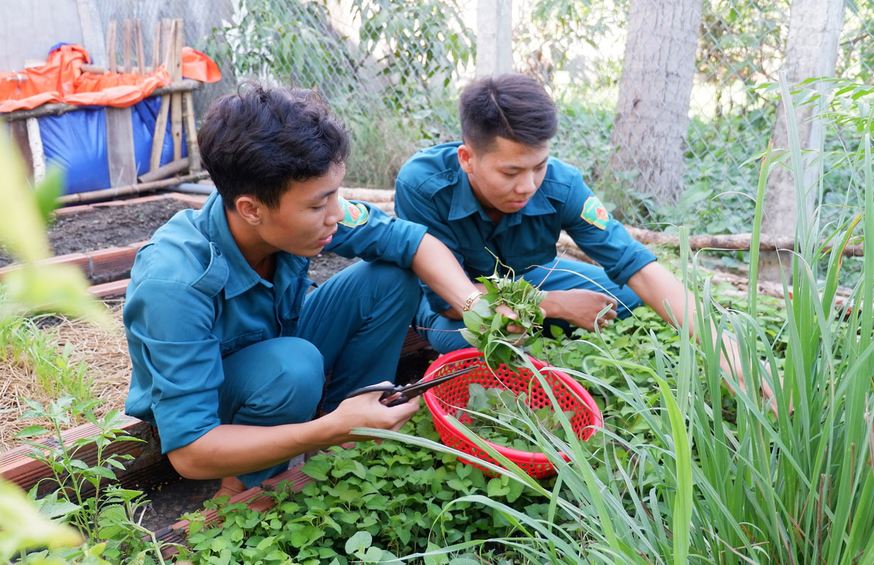 Nguyễn Hoài Phong cùng đồng đội tăng gia sản xuất