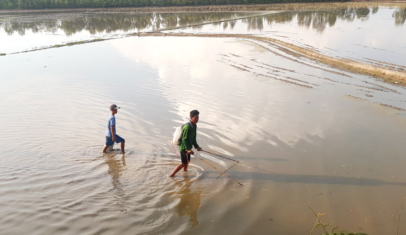 Vẫn còn tình trạng dùng xung điện đánh bắt thủy sản