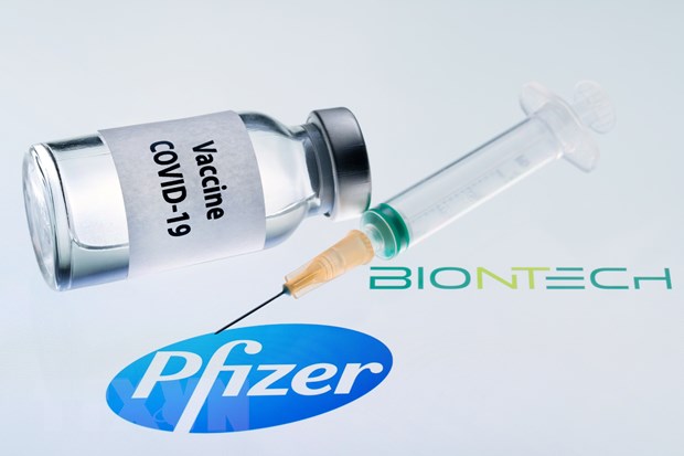 Hình ảnh mô phỏng vắcxin ngừa COVID-19 do hai hãng dược phẩm Pfizer của Mỹ và BioNTech của Đức phối hợp bào chế. (Ảnh: AFP/TTXVN)