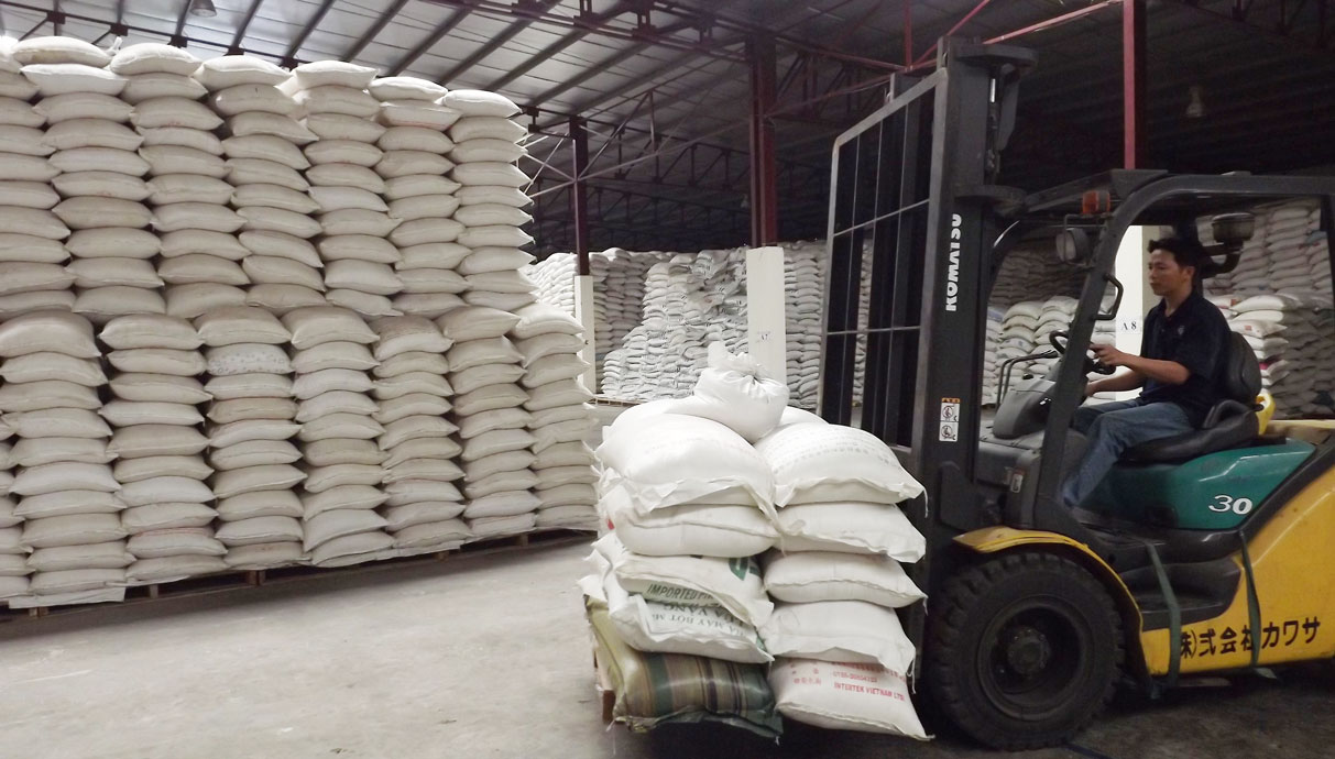 Mỗi năm, Công ty TNHH Chế biến nông sản thực phẩm xuất khẩu Tân An cung ứng khoảng 4.000-5.000 tấn sản phẩm ra thị trường
