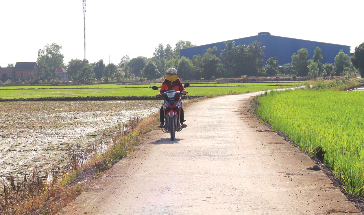 Ðường giao thông nông thôn  ở Tân Đông được đầu tư khang trang