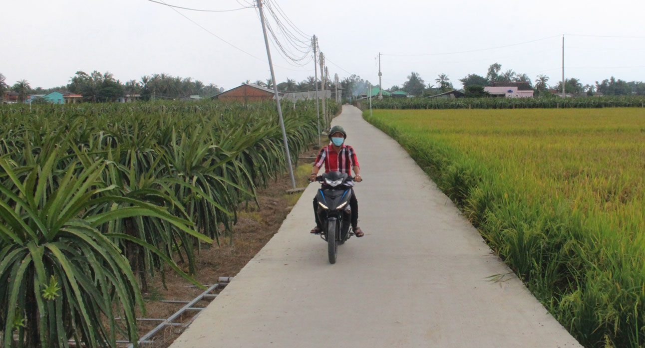 Với sự góp sức của giáo dân, nhiều tuyến đường giao thông nông thôn địa bàn xã Thuận Mỹ được nâng cấp, bêtông sạch sẽ