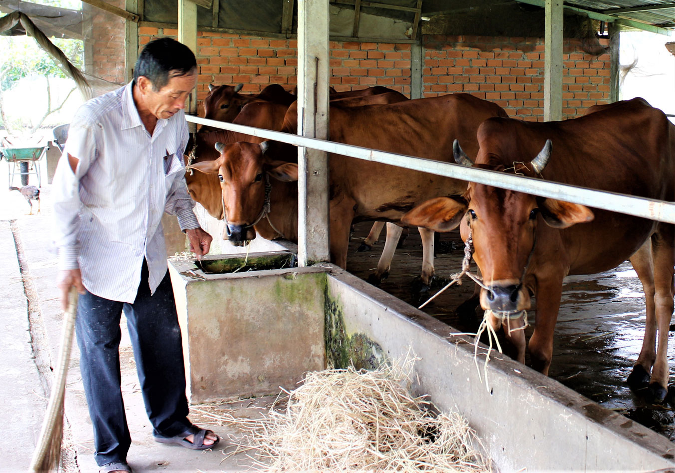 Prevention, control of foot-and-mouth disease in cattle herds People need to be proactive in preventing and controlling FMD in cattle