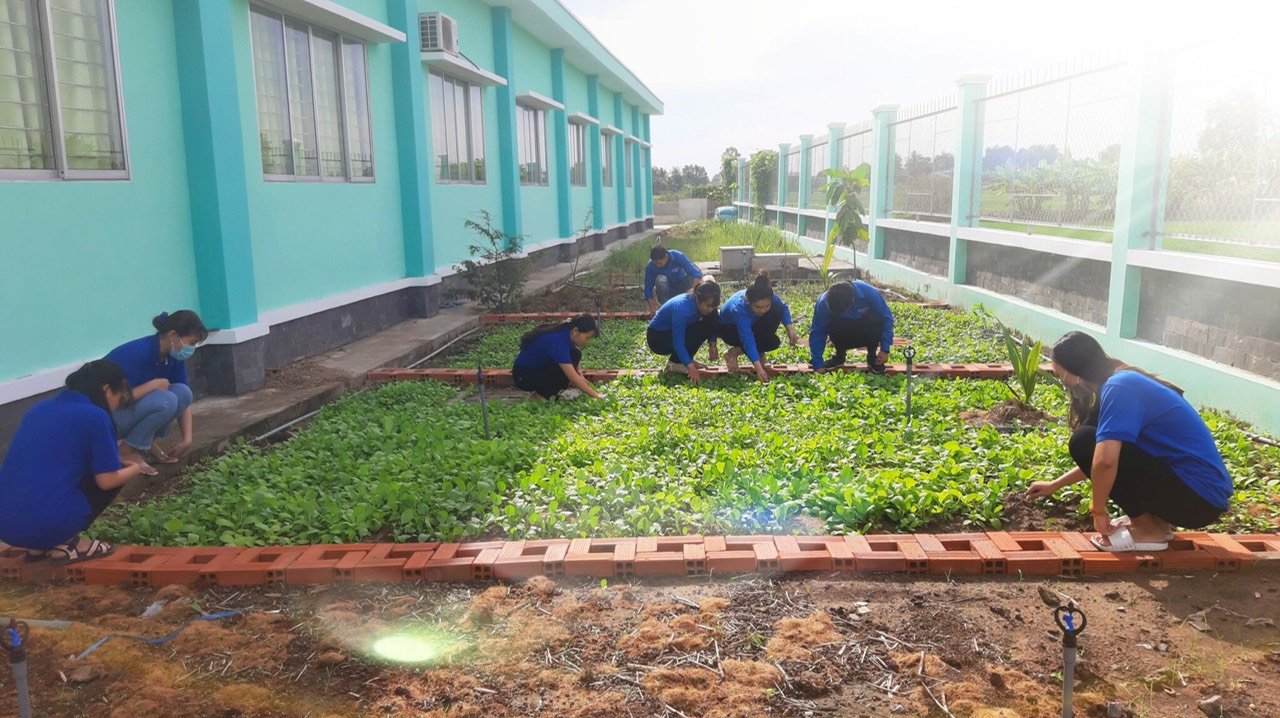 Sau 1 tuần làm việc, các giáo viên Trường Mẫu giáo Long Định gặp nhau vào thứ bảy hàng tuần để chăm sóc vườn rau (ảnh nhân vật cung cấp) 