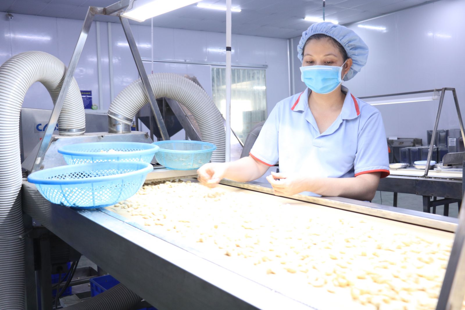 Kinh tế - xã hội khởi sắc trong bối cảnh nhiều khó khăn