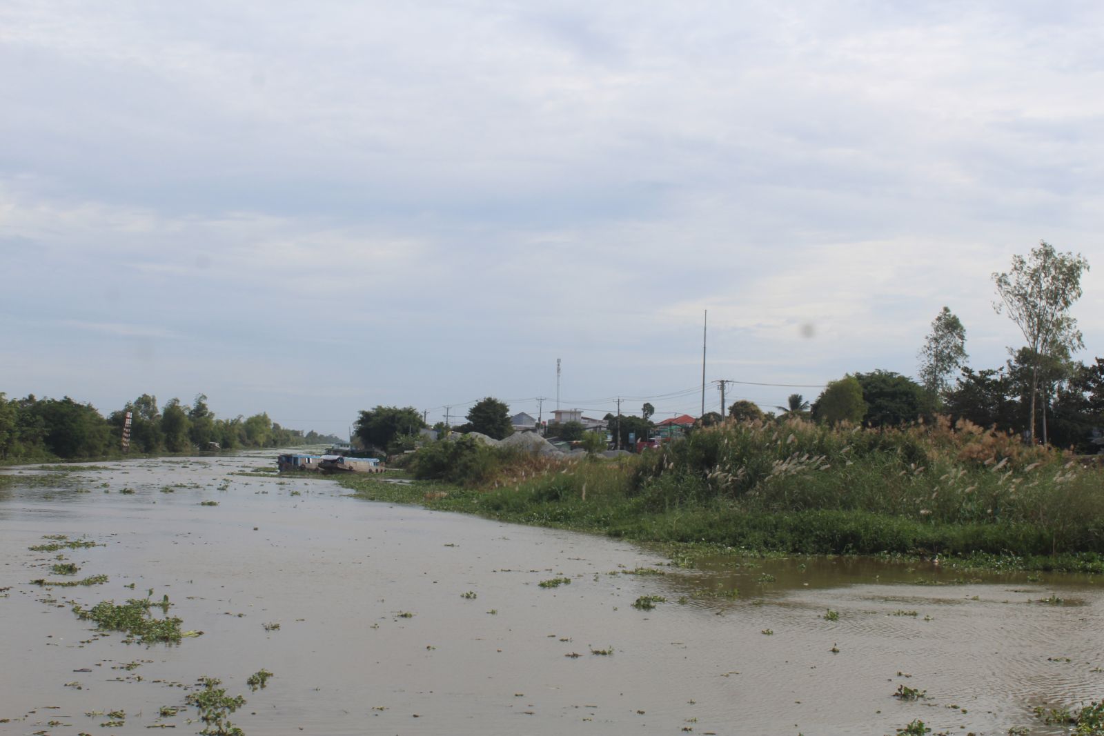 In 2021: Embankment of Tan Thanh townlet to be built with about 310 billion VND In 2021, the embankment of Tan Thanh townlet will be built with about 310 billion VND