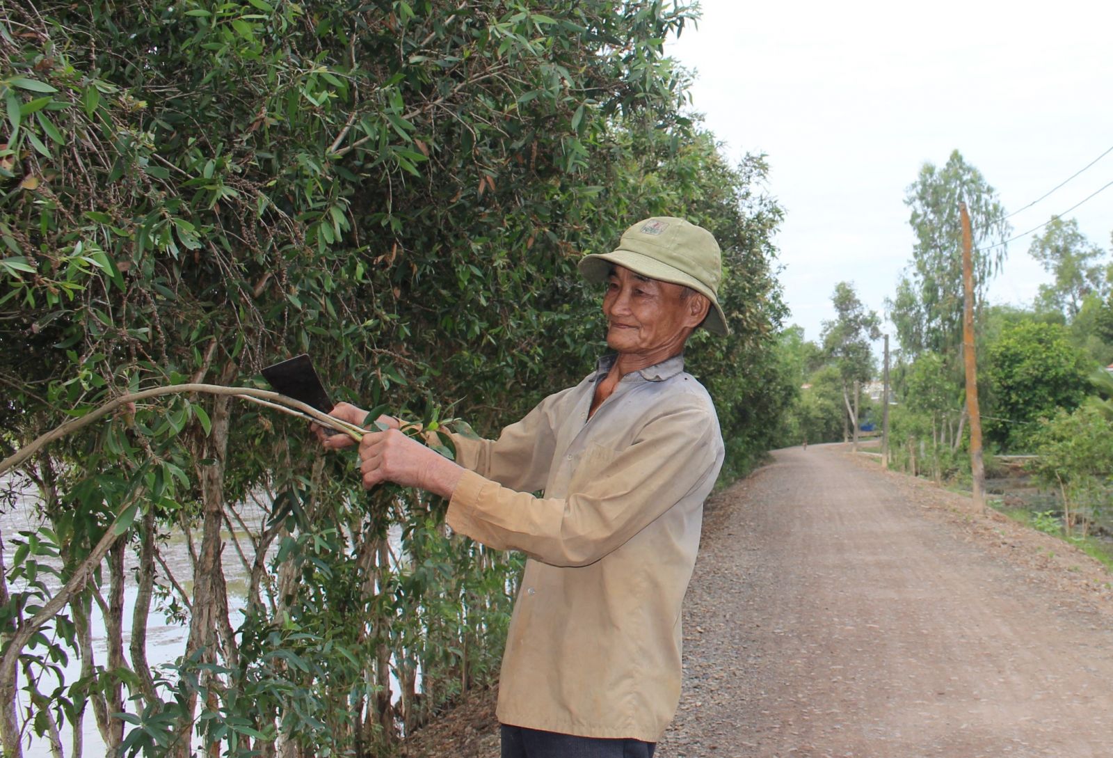 Tuy gần 90 tuổi nhưng ông Nguyễn Văn Án vẫn hăng say lao động, sản xuất