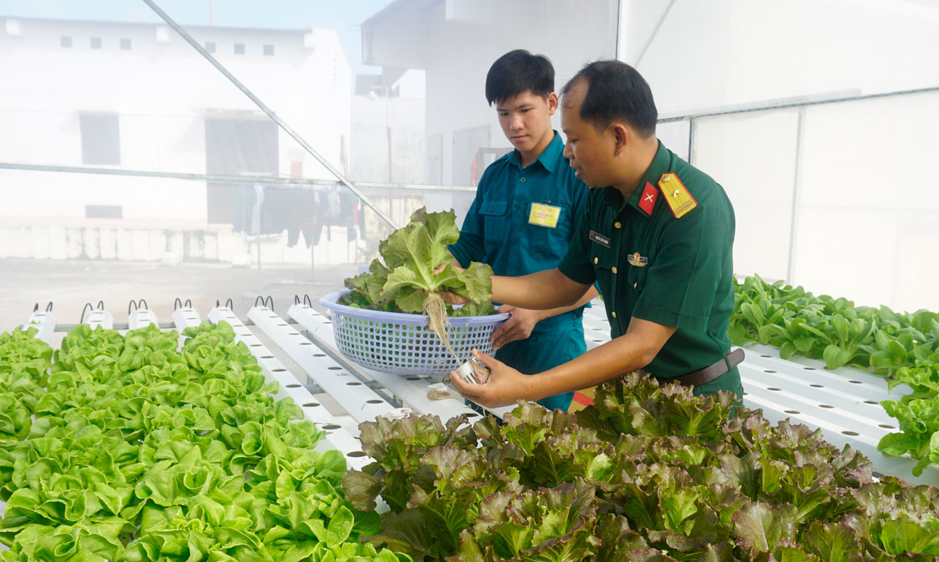 Hướng dẫn kỹ thuật trồng rau thủy canh cho chiến sĩ đơn vị