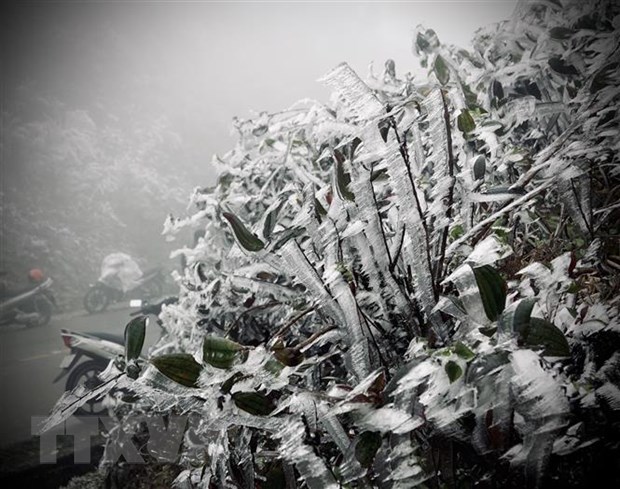 Một số hình ảnh sương muối, băng giá tại đỉnh đèo Khau Phạ. (Ảnh: Tuấn Anh-A Lù/TTXVN)