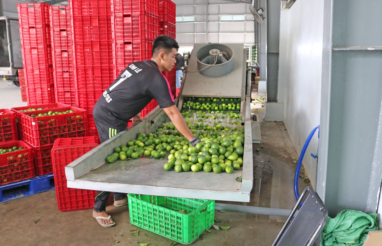 Cooperatives are really in need of supportive policies 