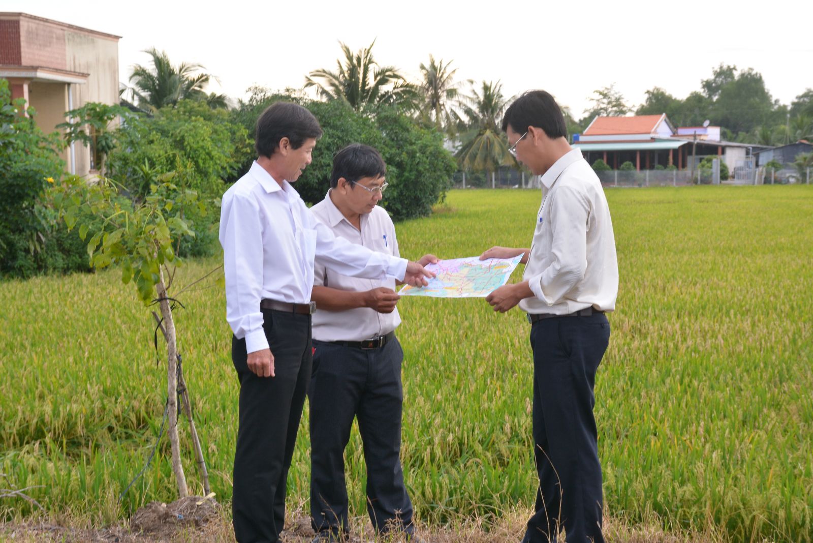 Long An Department of Transport: 11 breakthrough projects and key works invested Provincial Road (PR) 827E - The driving force axis connecting the Southwestern Coastal region and Ho Chi Minh City (in the photo: Survey of the expected location of the PR 827E passing through Tan Tru district)