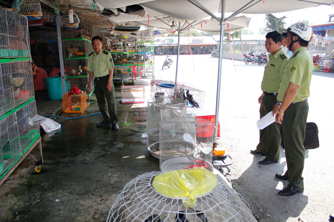 Tăng cường quản lý, bảo vệ động vật hoang dã Tình trạng mua bán động vật hoang dã đã giảm nhiều so với trước đây