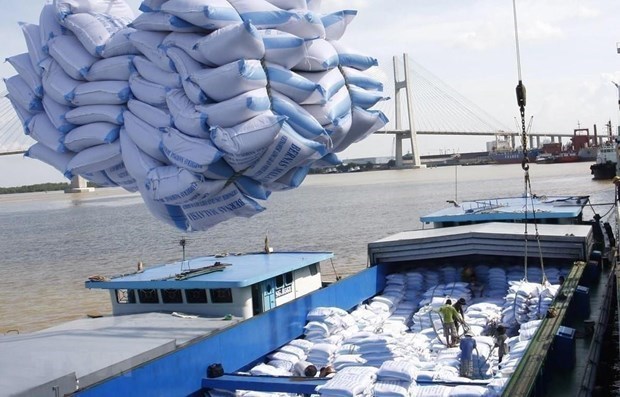 First batch of Vietnamese rice exported to UK under UKVFTA The first batch of jasmin rice is shipped to the UK under the UKVFTA. (Photo: VNA)